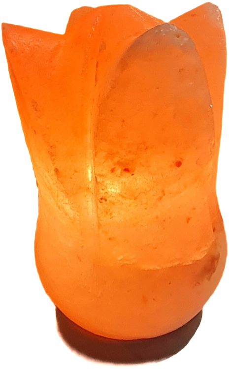 Lampa solna himalajska Tulipan 1 premium