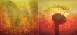 Muzyka relaksacyjna - Magic Moments - płyta CD