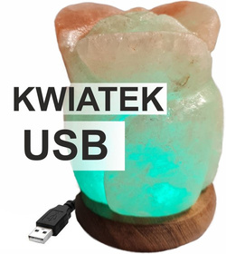 Lampa solna USB kwiatek sól himalajska