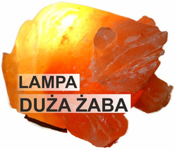 LAMPA SOLNA HIMALAJSKA ŻABA Duża premium