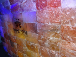 Cegła solna himalajska 5cm gładka premium 10 sztuk
