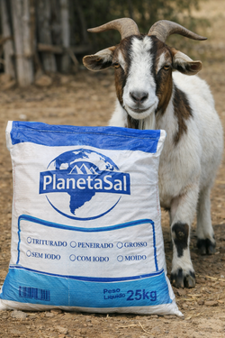SÓL MORSKA BRAZYLIJSKA DLA BYDŁA OWIEC I KÓZ 25KG