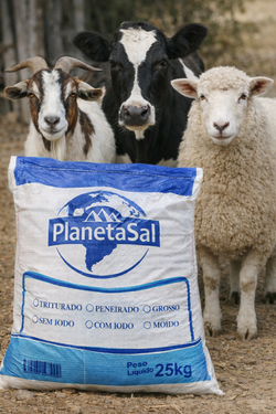 SÓL MORSKA BRAZYLIJSKA DLA BYDŁA OWIEC I KÓZ 1000 kg